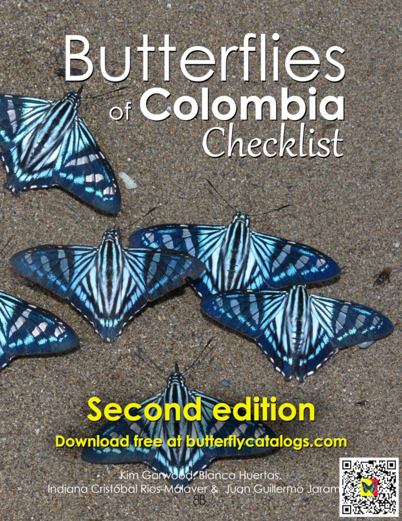 Blanca Huertas (@drbutterflyh) on Twitter photo 🗣👏🏽 NEWS! #Colombia 🇨🇴officially number ONE 🏅 richest nation of #butterflies 🦋 #freebook #checklistbutterfliesColombia published today! Talents & efforts combined <a href="/Mariposas1CO/">ChecklistMariposasColombia</a> <a href="/IndianaCristo/">@LepidopteraColombiana</a> @kimgarwood 3877 species and counting! <a href="/NHM_Global/">Natural History Museum | Global 🤝</a> <a href="/NHM_Science/">Science at the Natural History Museum</a> <a href="/PROCOLOMBIACO/">PROCOLOMBIA</a> 🗣👏🏽 NEWS! #Colombia 🇨🇴officially number ONE 🏅 richest nation of #butterflies 🦋 #freebook #checklistbutterfliesColombia published today! Talents & efforts combined <a href="/Mariposas1CO/">ChecklistMariposasColombia</a> <a href="/IndianaCristo/">@LepidopteraColombiana</a> @kimgarwood 3877 species and counting! <a href="/NHM_Global/">Natural History Museum | Global 🤝</a> <a href="/NHM_Science/">Science at the Natural History Museum</a> <a href="/PROCOLOMBIACO/">PROCOLOMBIA</a>
