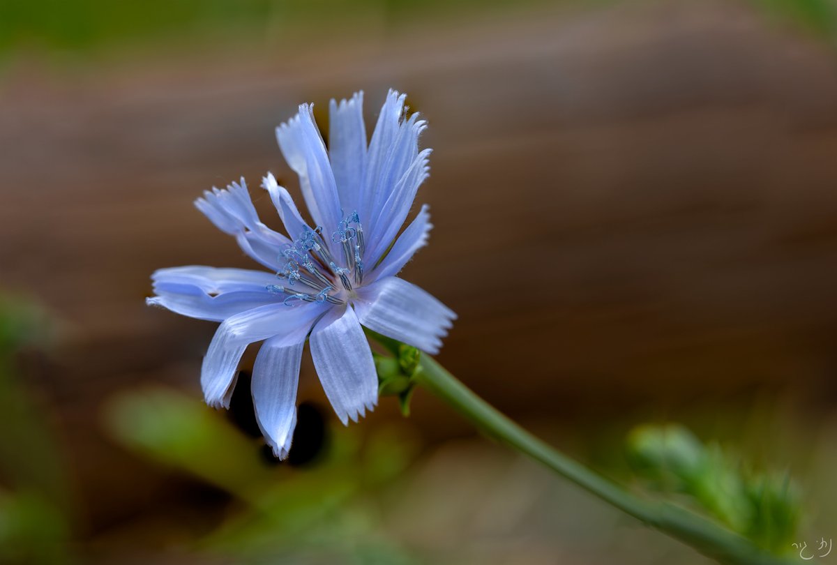 Here's a business Koan (lnkd.in/g5pvSxHt). If you can resolve it, I want you to be my mentor. If you can't, let's talk :-) 

"If the few can be reduced to one, to what can the one be reduced?" 

#Galaxiez #Management #Leadership #koan #Complexity #Photography