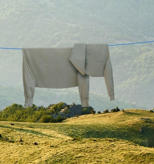 lettotal's tweet image. De l'art de suspendre son linge...