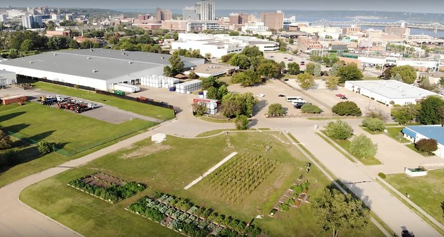 The grassy area where a community garden now sits is all that is left of Voris Field in Peoria, IL--the original home of baseball in the city. Baseball was played here from 1862 until 1884. There was no backstop or dugouts or bleachers.