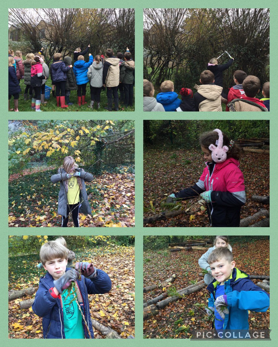standrewsmajor's tweet photo. #SAMsY4 had great fun harvesting our school willow to make a start creating 2D or 3D Castles! #SAMsOutdoorLearning https://t.co/RCo8s0fxGu