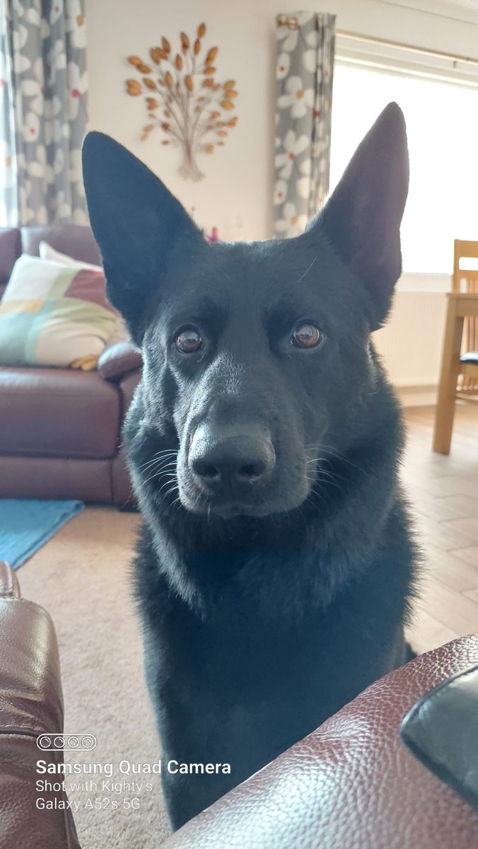 Following a street robbery, PD Blue tracked from a sighting of one of the suspects and located a 10 inch hunting knife used in the offence. This has now been taken off the street and cannot cause any more harm.