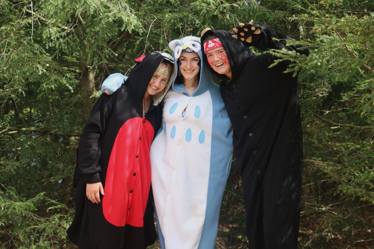 Are you Team Owl, Team Bear, or Team Bat?