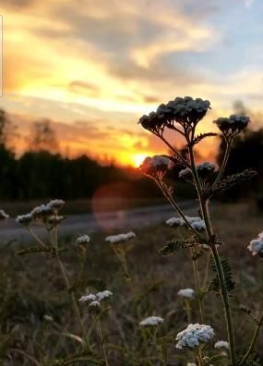 Einen gemütlichen ☺️ Abend wünsche ich Euch allen miteinander ihr Papnasen 😂 😲 genießt die letzten Stunden des Tages noch und zack, auf die Couch.

Grüßla des Frankenmadla 🙋‍♀️ 🎅🎁