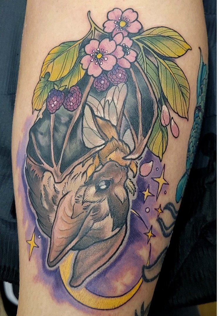 ClaireSmithArt1's tweet photo. Adorable long eared bat done today 🤍
#battattoo #tattoo https://t.co/i2glWFmssb