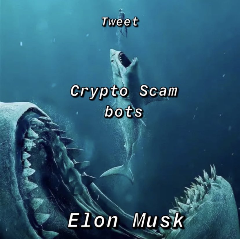 <a href="/elonmusk/">Elon Musk</a>