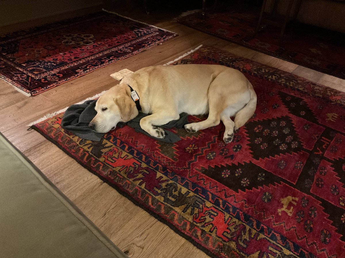 Winifred Robinson tweet media