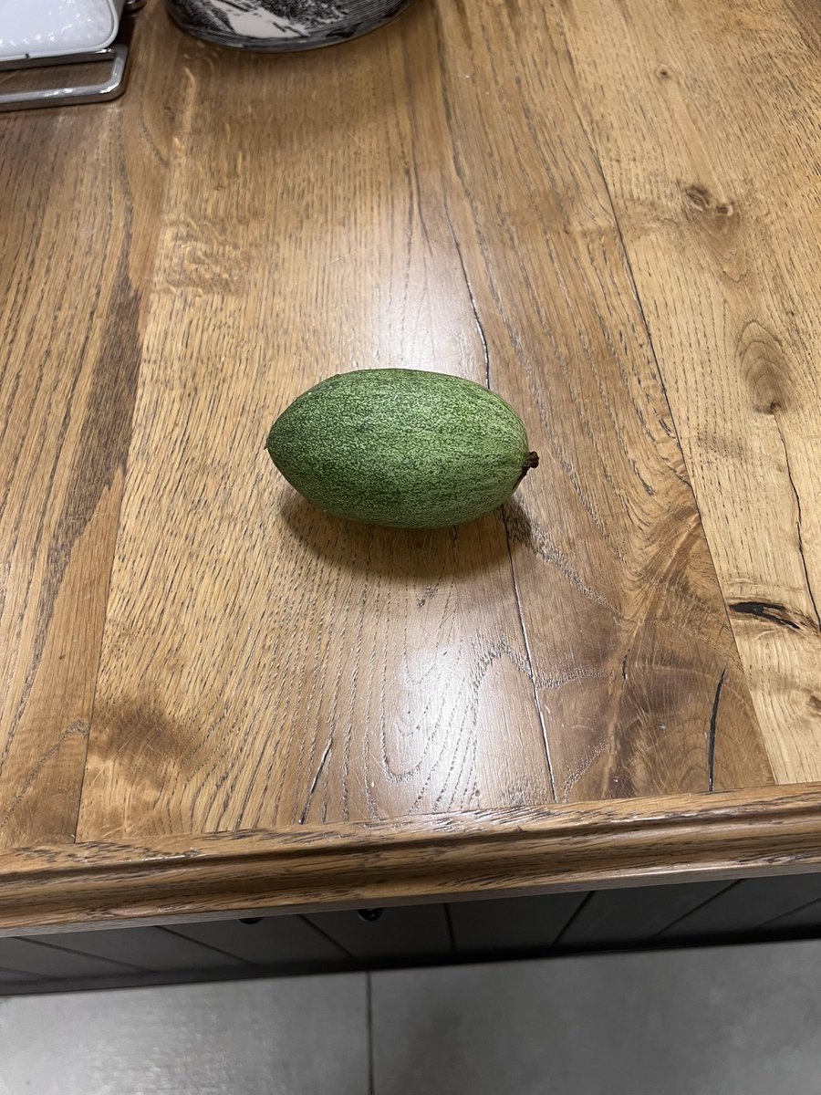 Itay galon tweet media