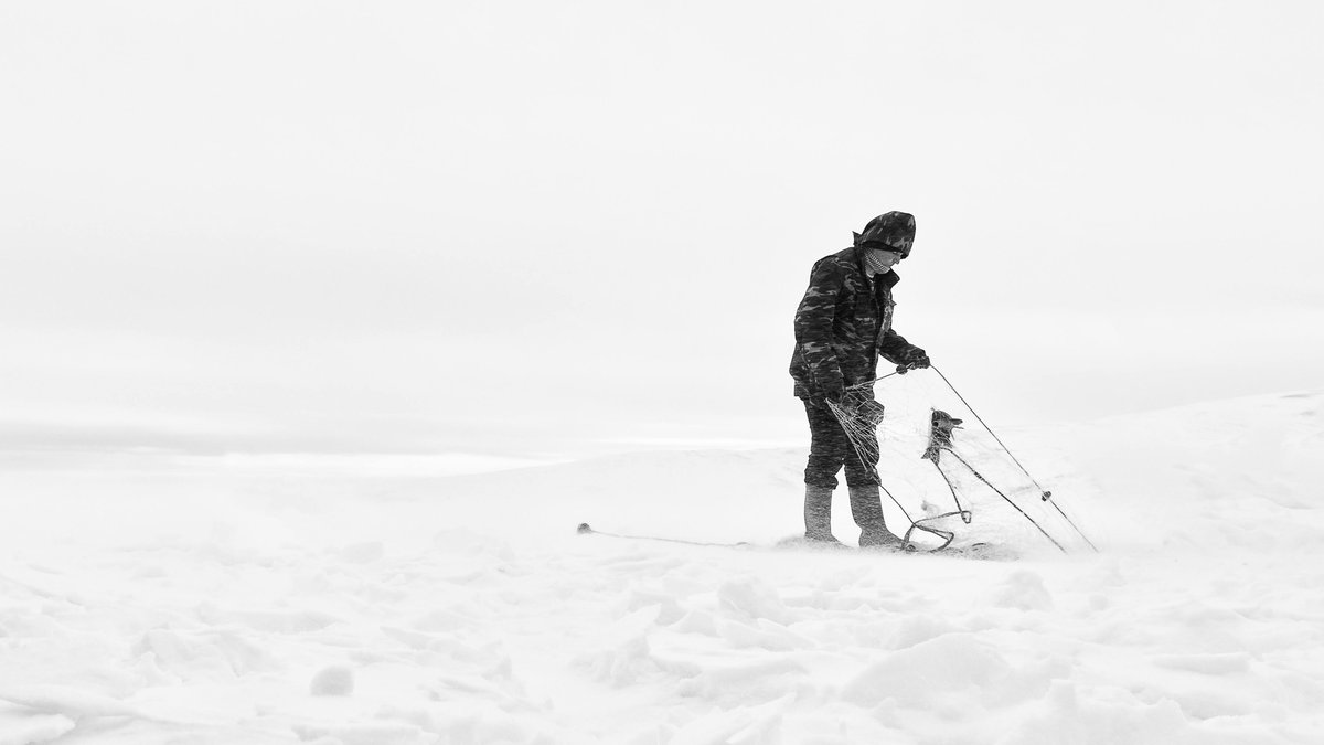 "Swimming in dark waters with the hope of a single point of light? Or to be stuck in a net in the white snow above the water? Life is always a choice..."

"Fish in the Net"
10/10 edition
0.3 Sol

formfunction.xyz/@mustafaerbas/…

#SolanaNFT #solanaphotography #photographyonsolana  #Solana