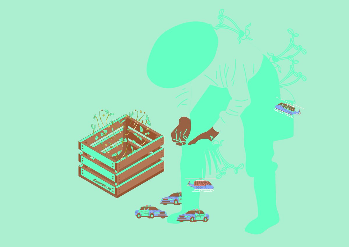 taller ahuehuete tweet media