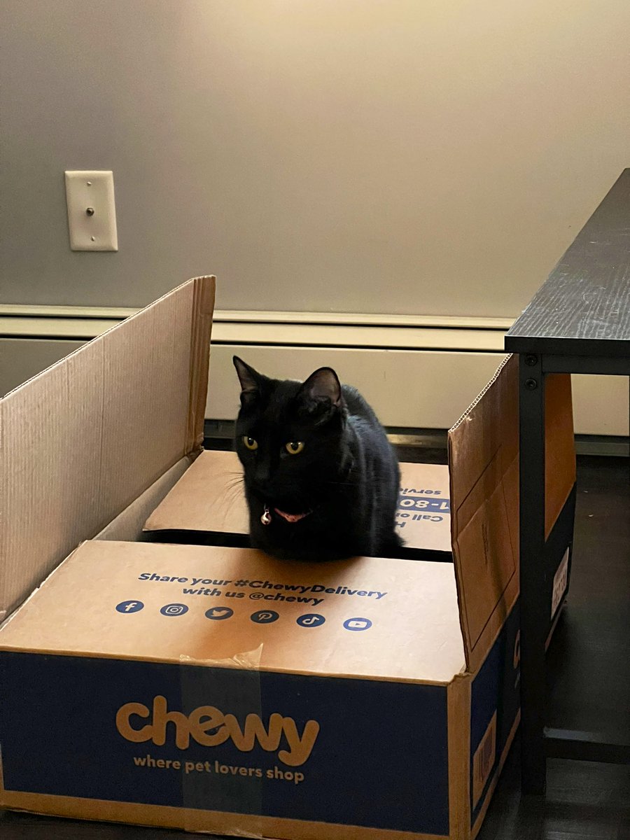 jayceelreeves's tweet photo. Chewy box serving it’s duty @Chewy #chewydelivery 🫡📦 https://t.co/jjghyvJ1wM