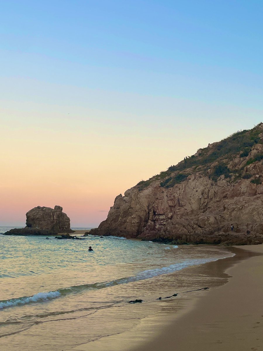 Mishaal Surti tweet media