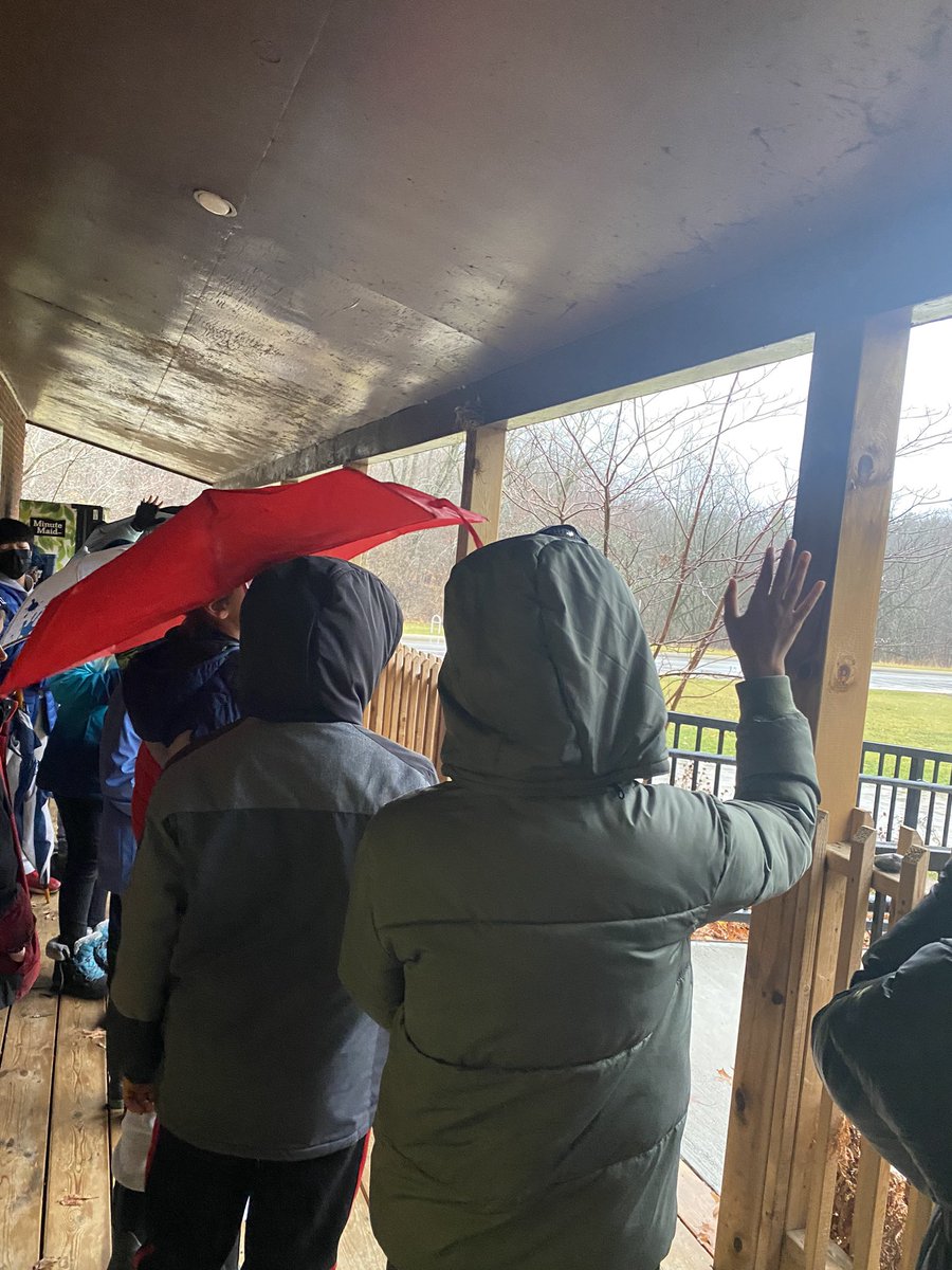 Lindsay Nodwell tweet media