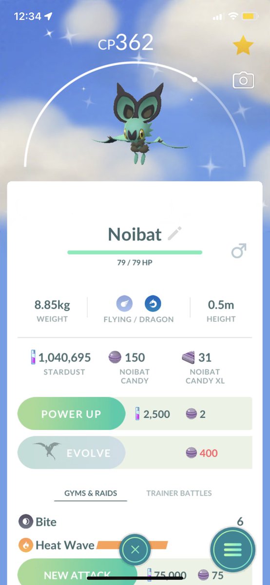 shannonharkin_'s tweet photo. Just hatched from one of my old Halloween eggs 😳😍 #shinynoibat #noibat #pokemongo https://t.co/0j38eYsJPm