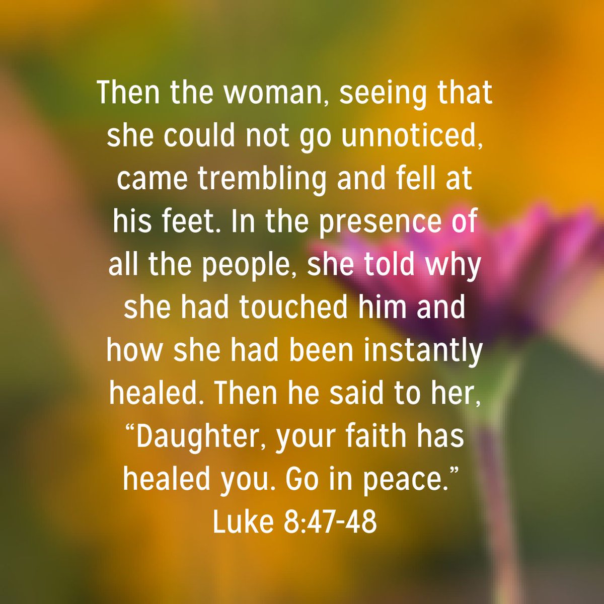 FaithFocusedMom's tweet photo. "Then the woman, seeing that she could not go unnoticed, came trembling and fell at his feet. In the presence of all the people, she told why she had touched him and how she had been instantly healed. Then he said to her, “Daughter, your faith has healed you. Go in peace.” https://t.co/YydHxy3Rq8