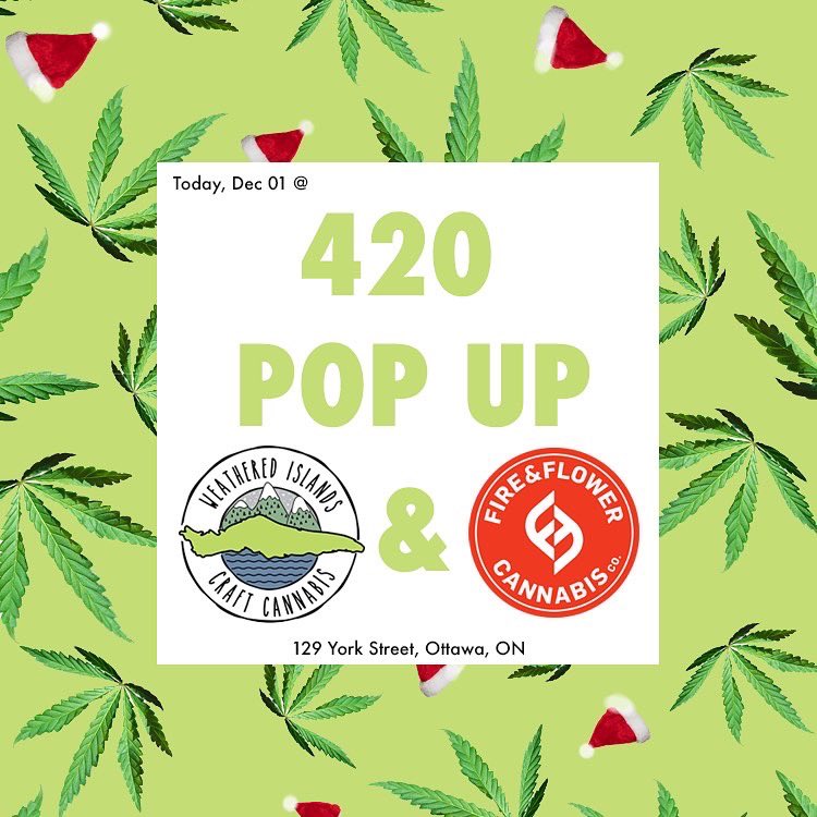 WeatherdIslands's tweet photo. Hey Ottawa come check out @fireandflowerco for a 420 pop up! Get your hands on some Sweet Texada Lavender flower, while limited quantities last!

#Legendary #Texada #Genetics  #Cannabis #Canna #Weed #BCbud #Outdoor #Farming #terpenes #grams #Organic  #flower https://t.co/JgawnVDFsS