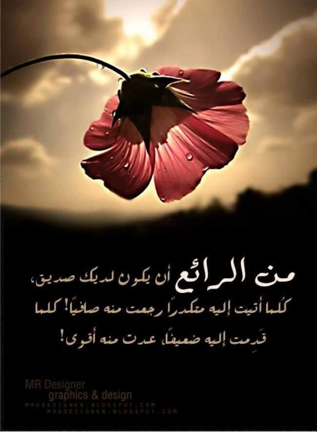 halawatrooh83's tweet photo. https://t.co/ZMio2Puvgt