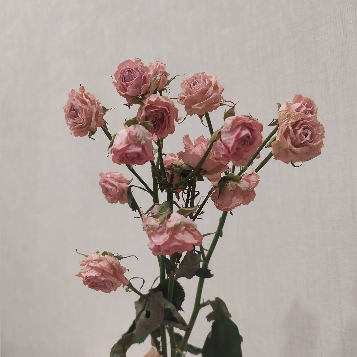 сроня (@molwzz) on Twitter photo 