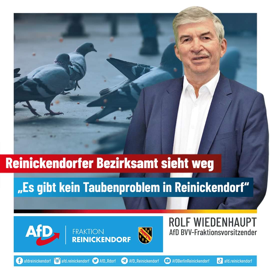 🐦 💩 "Vielleicht sollten die #Bürgermeister und Stadträte Reinickendorfs des Öfteren mal zu Fuß im #Bezirk unterwegs sein, sich die Brennpunkte anschauen und endlich reale, bürgernahe #Politik machen, statt den Problemen auszuweichen": facebook.com/16861588814244…