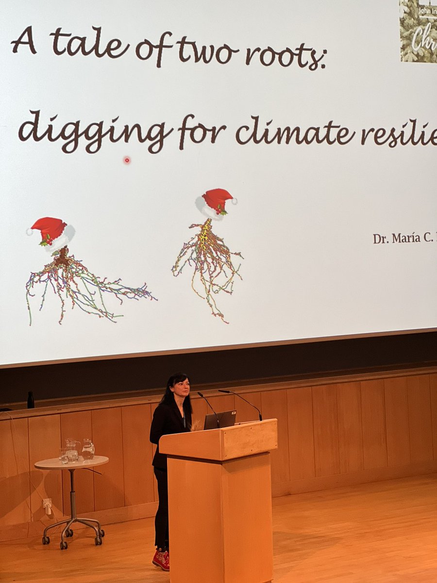 Next up is <a href="/Looking_at_soil/">Maya 🐾🐹🦔💫</a> talking about wheat, root traits and <a href="/wish_roots/">EJP Soil - WISH-ROOTS</a>: “A Tale of Two Roots: Digging For Climate Resilience” 🌱 

#JICChristmas #SoilHealth