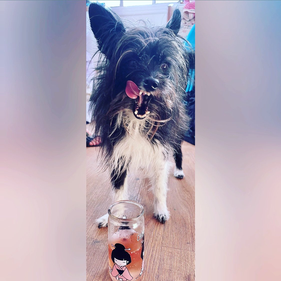 Candy Twister tweet media