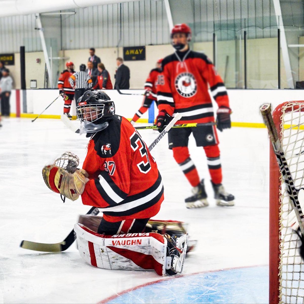 UGA Hockey tweet media