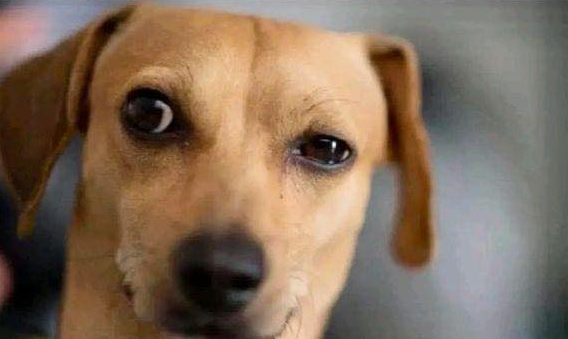Flantasma1's tweet photo. *Yo tratando de salir bien en mis
fotos*
Mis ojos: https://t.co/4ymTSwK4ww