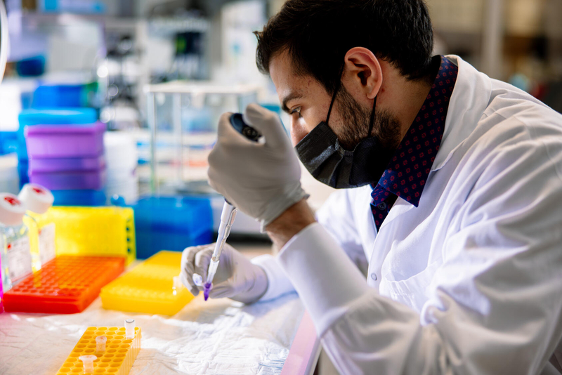 MayoRegMed (@mayoregmed) on Twitter photo .<a href="/MayoClinic/">Mayo Clinic</a> is one of the first to offer a #RegenMed Ph.D. track to train scientists and physicians to deliver health care of the future.
mayocl.in/3VsdUvw .<a href="/MayoClinic/">Mayo Clinic</a> is one of the first to offer a #RegenMed Ph.D. track to train scientists and physicians to deliver health care of the future.
mayocl.in/3VsdUvw