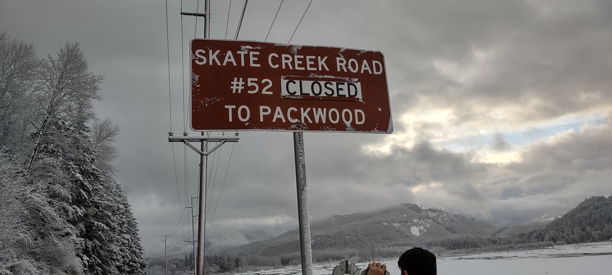Gifford Pinchot National Forest tweet media