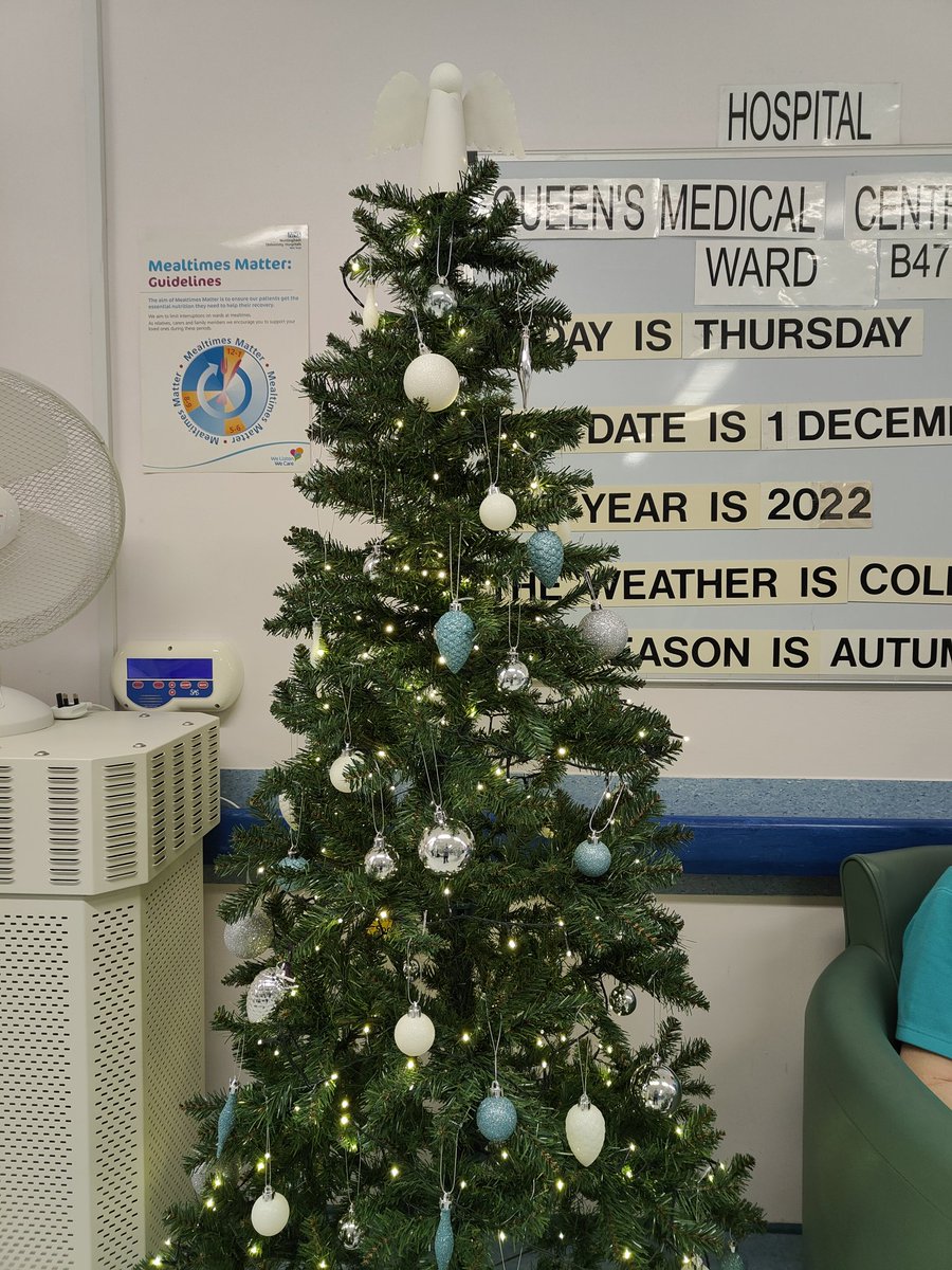 B47's Trees are up. Of course!

#christmas2022
<a href="/HcopTeam/">TeamHCOP_NUH</a> <a href="/NUHMedicine/">NUH Medicine</a>