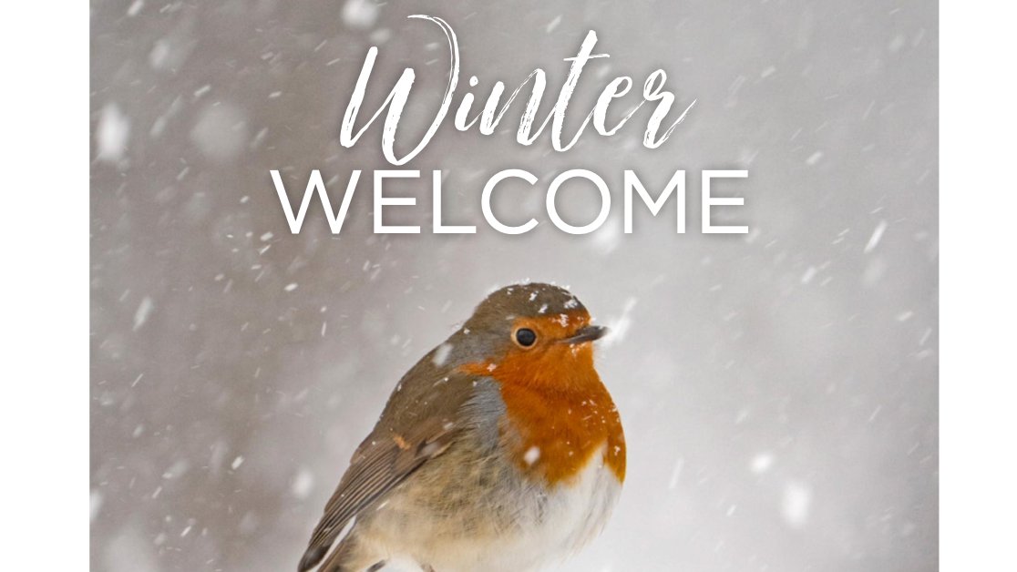 Dales Life tweet media