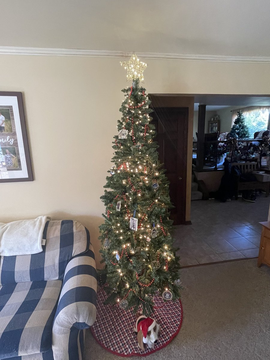 ErikJappinen's tweet photo. The @WhiteHouseHstry Xmas tree is up and ready! Just another great result from my time at #whhti!! https://t.co/2cFFoK9HfW