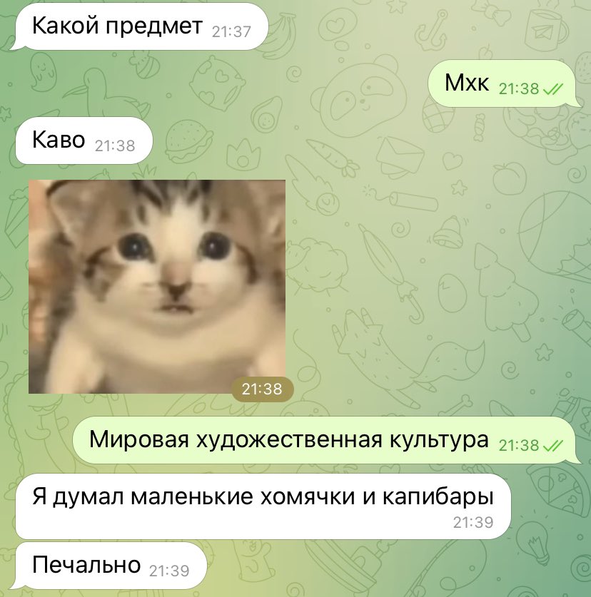 kathrins_99's tweet photo. лучшая переписка в моей жизни — с моим младшим братом https://t.co/aTC6qcMTKA