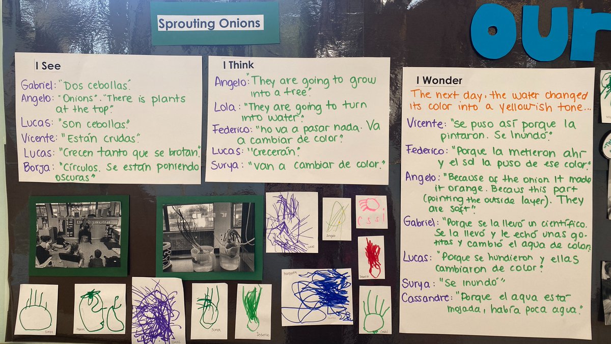 Visible thinking routines promote rich &amp; lively discussions about S's thoughts, interpretations, &amp; wonderings in our Early Years classrooms. They also help T’s plan responsive next steps. See - Think - Wonder is a favorite! 💡
#NidoLearns #MakingThinkingVisible <a href="/ProjectZeroHGSE/">Project Zero</a>