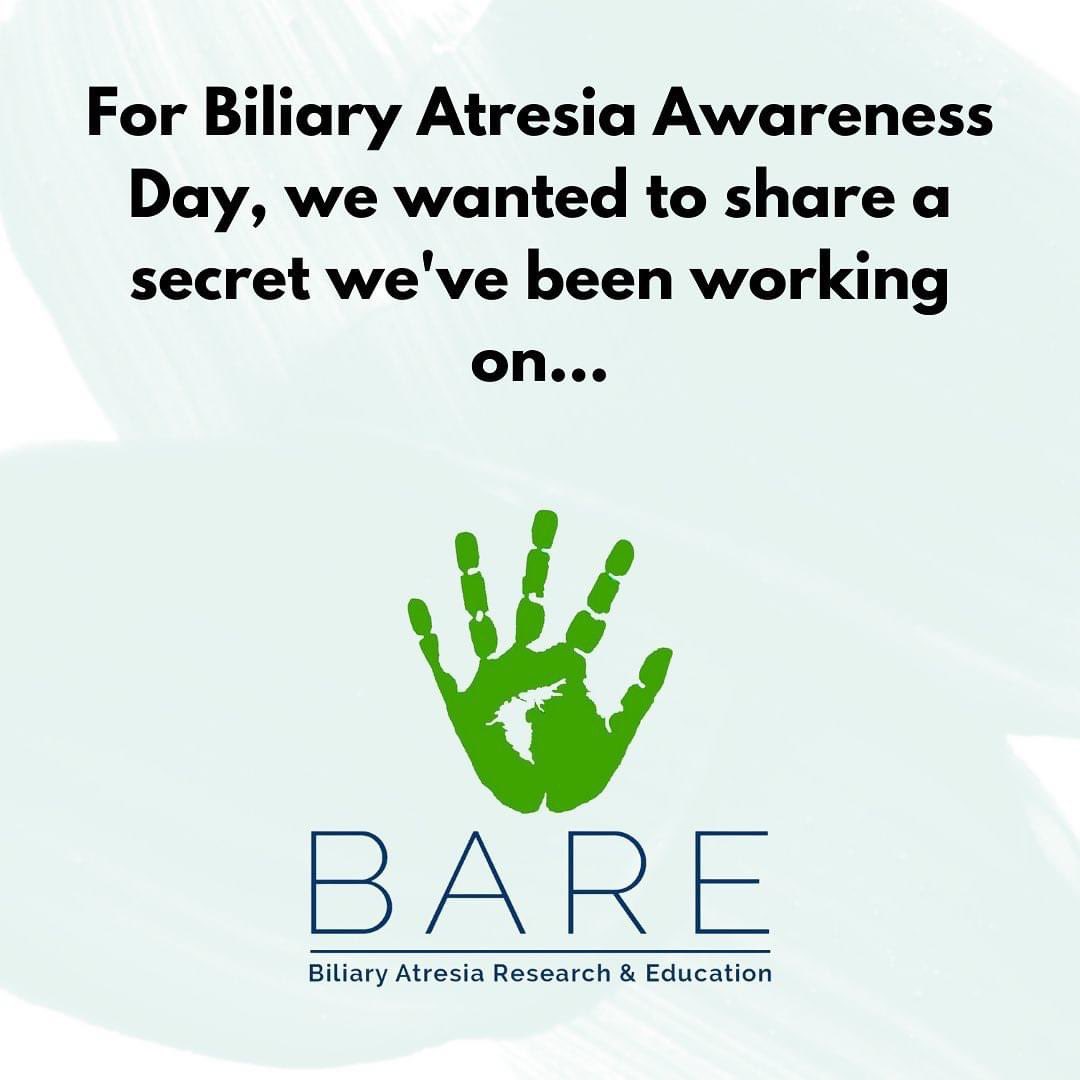 BAREInc_org's tweet photo. Our announcement is here! BARE is launching a patient driven BA patient registry! 

Check out our graphic thread thread: https://t.co/yAxoyxcqgW