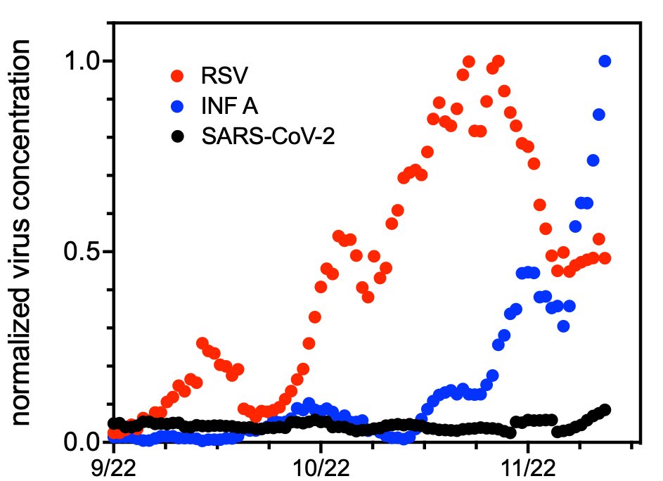 tripledemic 2022 in New Haven, CT. Wastewater virus concentrations normalized by the 2022 maximum.