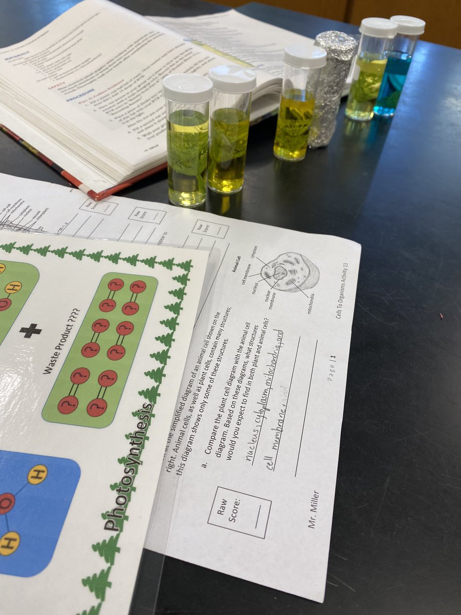 Students had a chance to investigate if plants both produce and break down sugars. And I mixed in a little activity to help show how the H2O and CO2 get used. <a href="/LabAids/">Lab Aids</a> <a href="/SEPUP_UCB/">SEPUP</a> shout out to <a href="/AshleySBloch/">Ashley Bloch 🌎🧬🦕 (she/her)</a> for the idea from a <a href="/STANYS_Suffolk/">STANYS Suffolk Section</a> event a few years back!