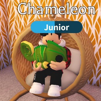 BloxyMiner's tweet photo. GIVEAWAY!!
Prize: Chameleon!
Rules:
- Follow me &amp; @Lemonplaysrobl1 
- Retweet 
- Like this tweet
#adoptme #giveaway #roblox #free #update #robloxgw #robloxgiveaway #robux #adoptmegw #adoptmeGiveaway #giveaway #free #gw #ad https://t.co/BBj3ojteWz