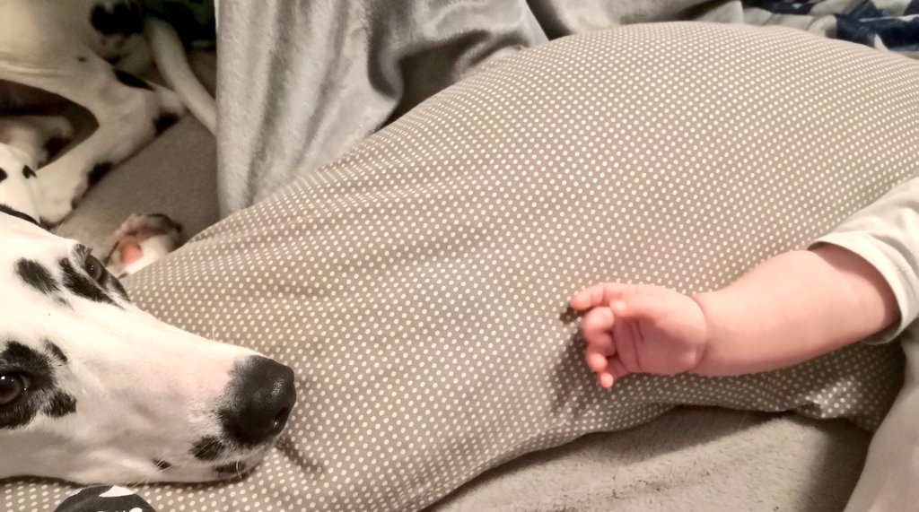 Der Mini Mensch hatte heute eine erste Impfung und jetzt Fieber. Also passe ich heute wieder besonders gut auf ihn auf ❤️