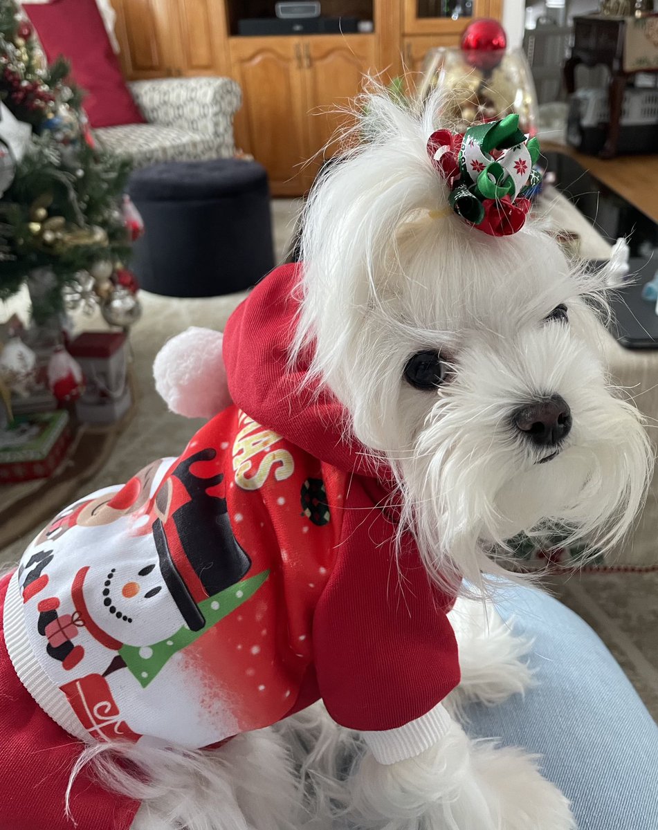 Emma is waiting for Christmas ❤️