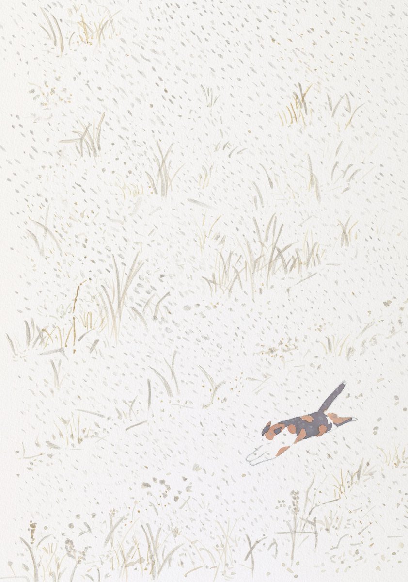 naturalhouse4's tweet photo. 全力疾走の猫。
12/2～小雪（しょうせつ）、橘始黄（たちばなはじめてきばむ）橘はお雛様に飾られる一年中枯れることのない永遠の象徴の木です。絵は、ごはんだよ～と呼ぶと雪の田んぼを駆けてくる猫。陸前高田にて。火の上を上手にとぶはうかれ猫・一茶。
#24節気72候
＃猫の絵 https://t.co/etVQxRffrW