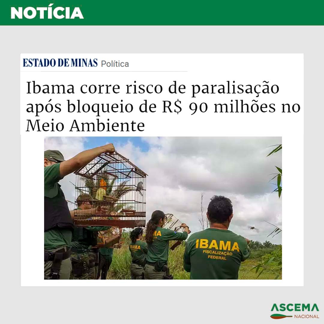 AscemaNacional's tweet photo. Ibama corre risco de paralisação total de suas atividades ainda em 2022. Leia:
 https://t.co/jb39FfV7SF

#ibama #apagaonoibama #ascema https://t.co/8AtVEm9OPv
