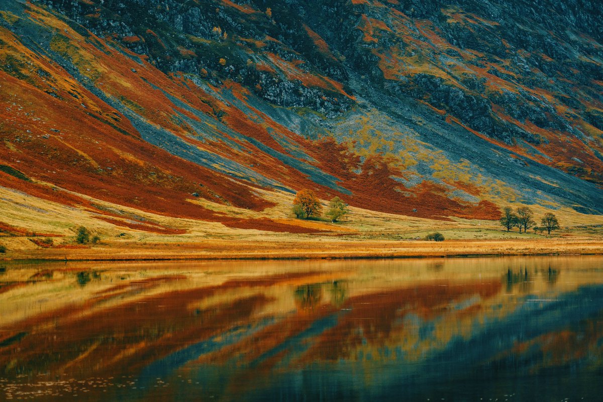 Daniel Casson tweet media