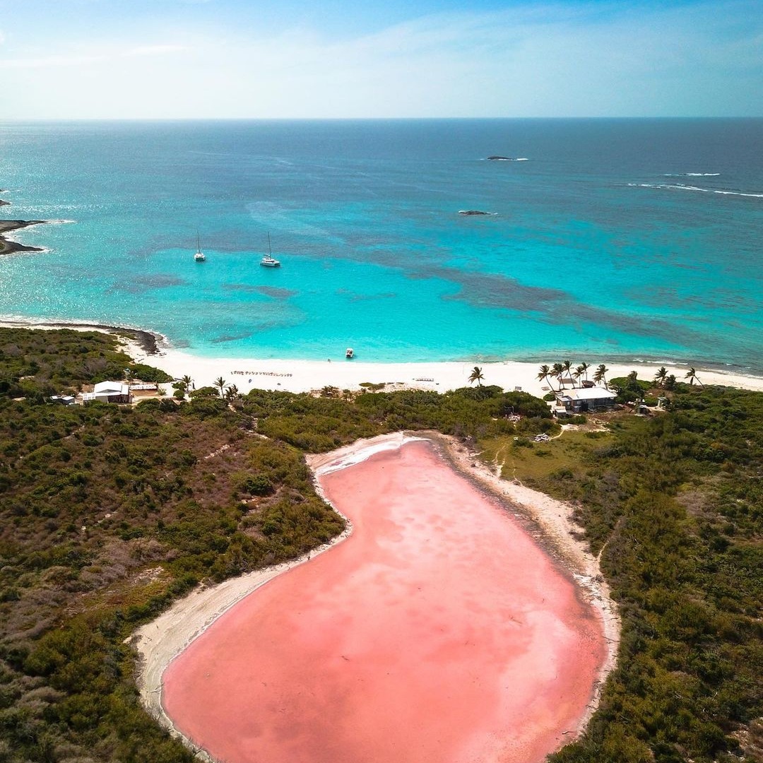 Anguilla_Trsm's tweet photo. Next time you’re on the island, we recommend floating your way toward Prickly Pear Cays. 🍐 In addition to having a two-decade-old restaurant, this pair of uninhabited islands offers bird watching, watersports,  beach massages, and more!

📷: @captainjoboatcharter https://t.co/I2FIxQVNGw