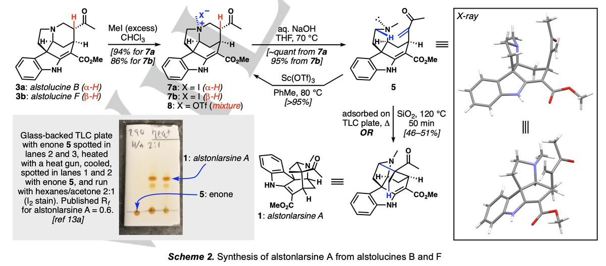 Total Synthesis (@totalsynthesis) on Twitter photo A #Synthesis of Alstonlarsine A via Alstolucines B & F Demonstrates the Chemical Feasibility of a Proposed Biogenesis by <a href="/Griffin__Barnes/">Griffin Barnes</a>, Allen Hong, and Christopher Vanderwal <a href="/thevanderwallab/">Vanderwal Lab</a> at <a href="/UCIChemistry/">UCI Chemistry</a> in <a href="/angew_chem/">Angewandte Chemie</a> onlinelibrary.wiley.com/doi/10.1002/an… A #Synthesis of Alstonlarsine A via Alstolucines B & F Demonstrates the Chemical Feasibility of a Proposed Biogenesis by <a href="/Griffin__Barnes/">Griffin Barnes</a>, Allen Hong, and Christopher Vanderwal <a href="/thevanderwallab/">Vanderwal Lab</a> at <a href="/UCIChemistry/">UCI Chemistry</a> in <a href="/angew_chem/">Angewandte Chemie</a> onlinelibrary.wiley.com/doi/10.1002/an…