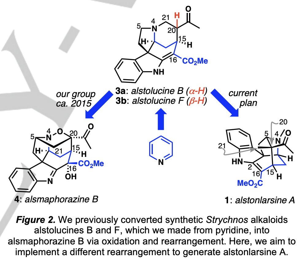 Total Synthesis tweet media