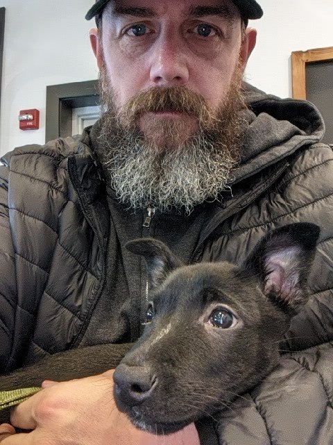 nomarthedog's tweet photo. #dogsoftwitter #dutchshepard #RescueDogs https://t.co/V4z4p7fKFs