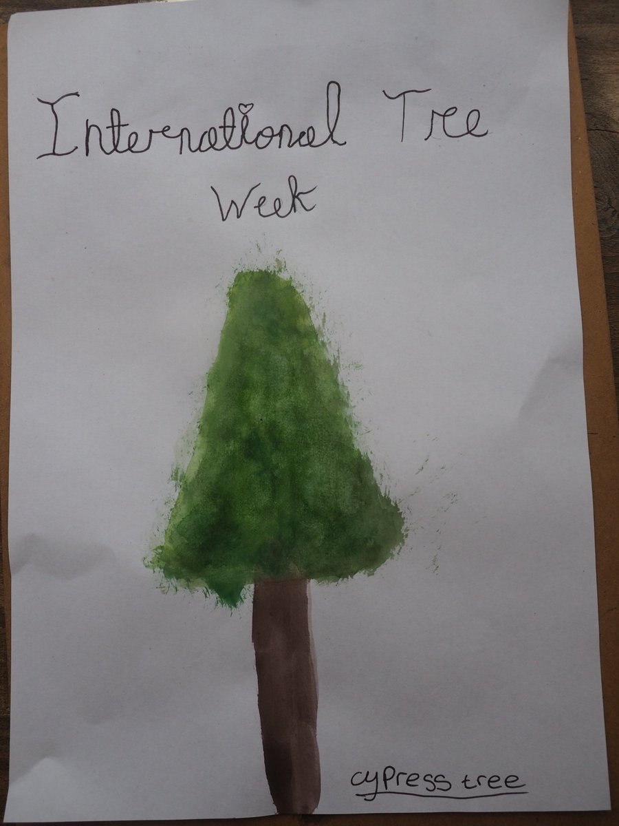 BHAPottingSheds's tweet photo. Celebrating #InternationalTreeWeek .
💚🌳 https://t.co/JPqiE2UHjf