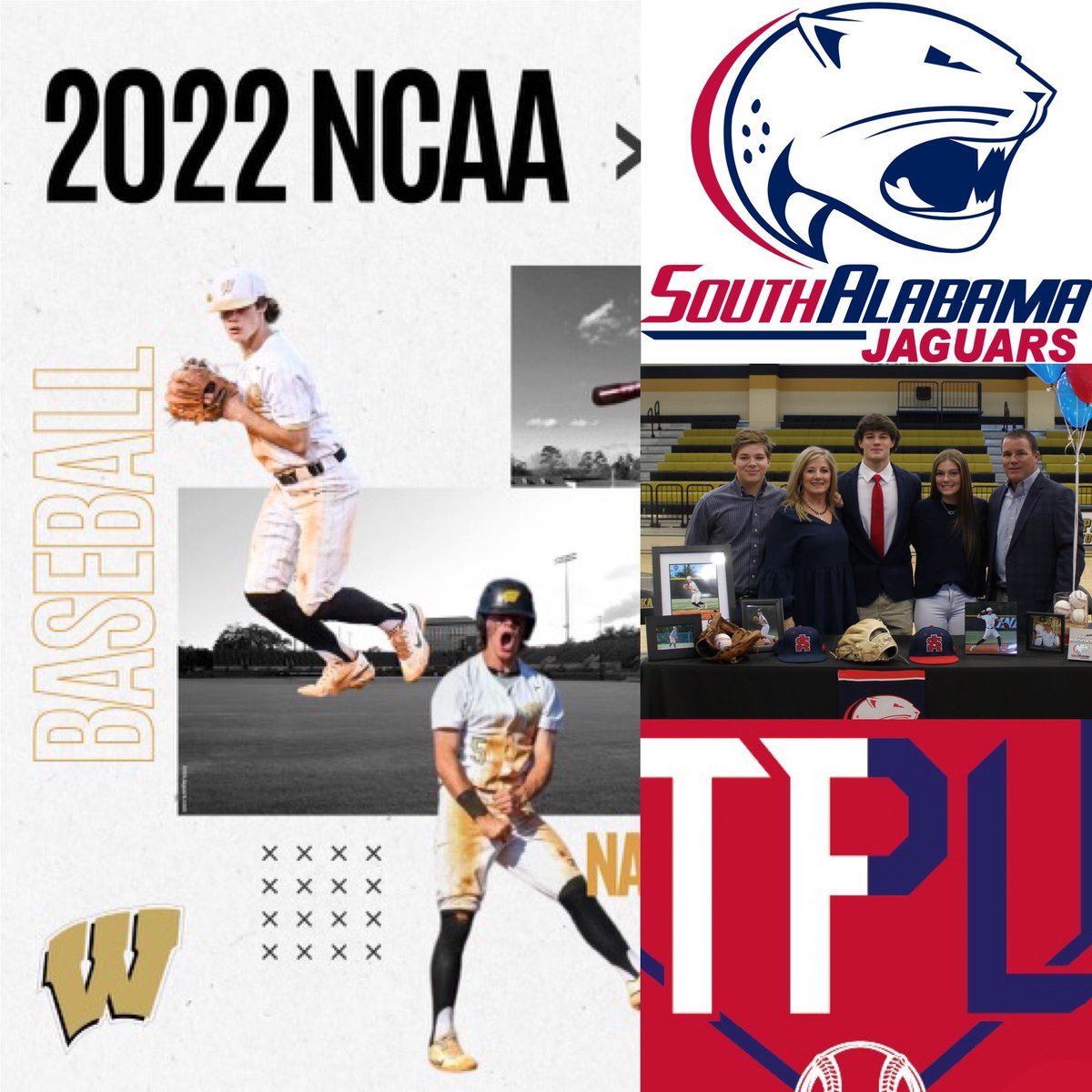 TPL Baseball Development tweet media