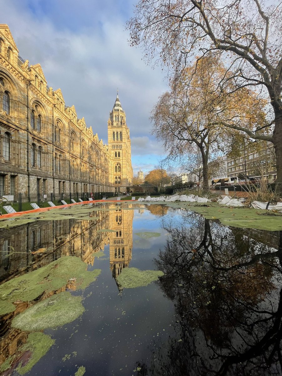 Pond translocation for the Urban Nature Project <a href="/NHM_London/">Natural History Museum</a>